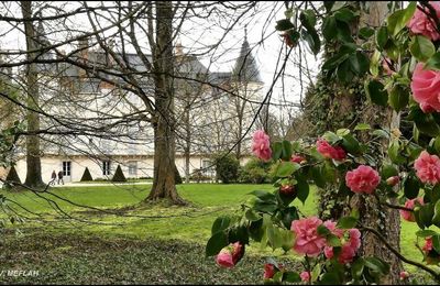 Profiter de la vie : Citations 