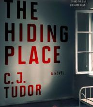 Epub bud free ebooks download The Hiding Place: A Novel (English literature) 9781524761028