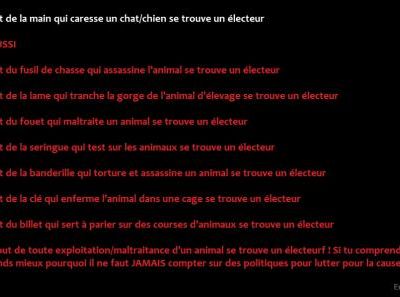 Ne comptons pas sur les politiques pour lutter pour la cause animale ... pourquoi ?
