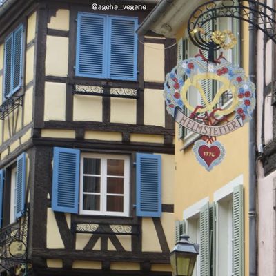 [Photos] Obernai et Colmar, été 2017