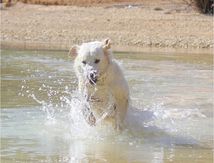 Water Play