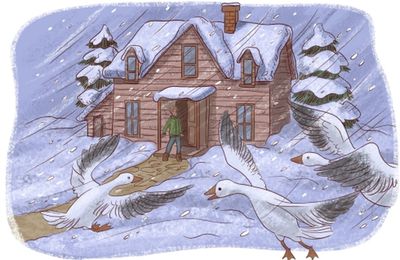Les oies de Noël