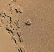 Descargar [PDF] {EPUB} LUZ EN LA ARENA