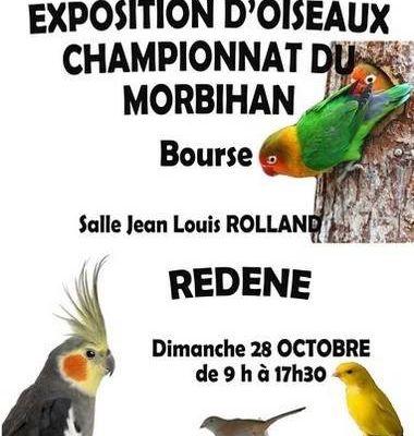 CHAMPIONNAT DU MORBIHAN le 28/10/2018