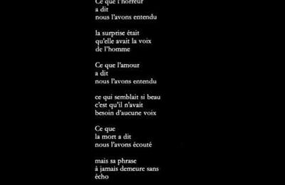 Ce que l'horreur