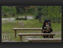 Gampo soigne sa ligne...