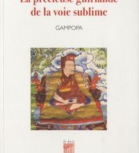 DOWNLOAD [PDF] {EPUB} La précieuse guirlande de la voie sublime  - Les maximes de la voie yogique du Seigneur Gampopa