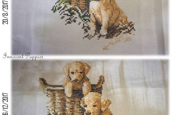 Innocent Puppies (3)