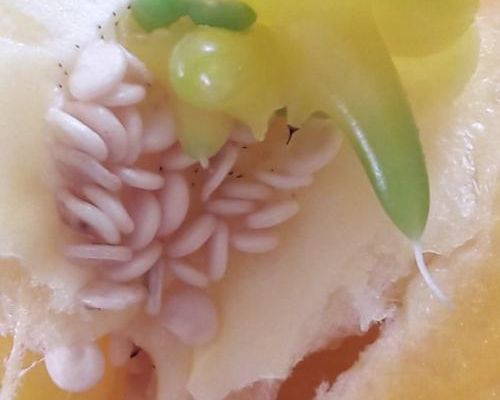 Réponse au koikesse d'hier..