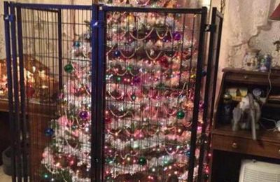 Ça va être noël et vous avez un chien