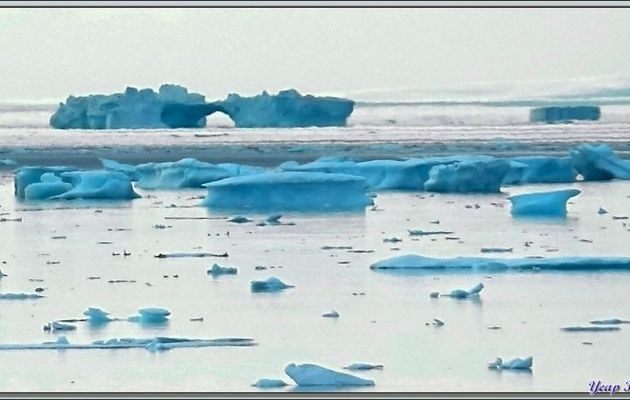 Débarquement à Grise Fiord (ᐊᐅᔪᐃᑦᑐᖅ ou Aujuittuq, le Village qui ne dégèle jamais) - Ellesmere Island - Nunavut - Canada