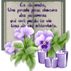 Une pensée pour ce Dimanche !