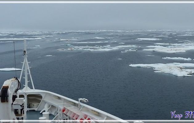 L'Austral rentre dans de la banquise en débâcle, 72° Nord, 168° Ouest - Mer des Tchouktches - Alaska