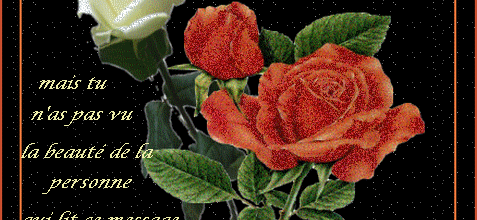 PREMIERES FLEURS .