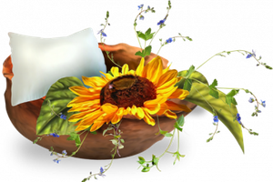 le tournesol et autre