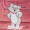 gif animé, blinkie,BONJOUR
