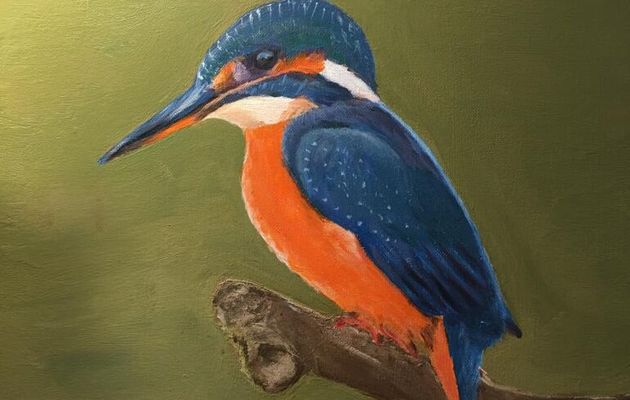 Bel oiseau....