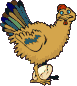 rock and roll des gallinacés