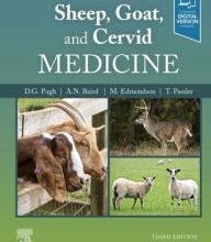 Download Pdf Sheep, Goat, and Cervid Medicine / Edition 3