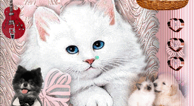 BON WEEK END ANIMAUX