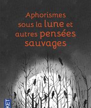 Téléchargement gratuit de livre électronique par isbn Aphorismes sous la lune  - Et autres pensées sauvages 9782266233835 (Litterature Francaise) par Sylvain Tesson