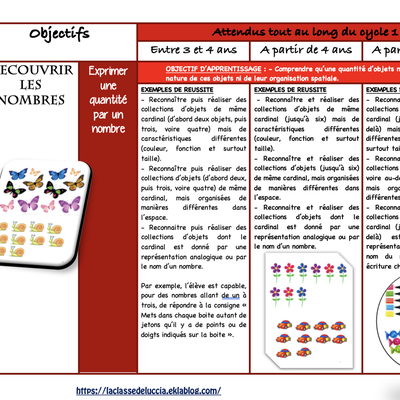 Nouveaux Programmes Cycle 1 Math