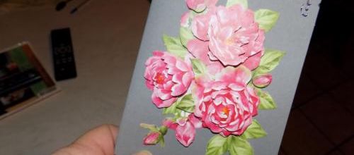 Dernières cartes reçue
