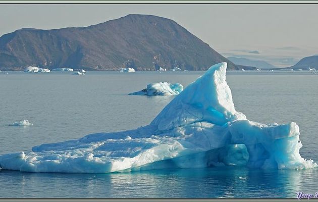 Navigation en mer de Baffin : traversée d'un champ d'icebergs - Région du Cap York - Groenland