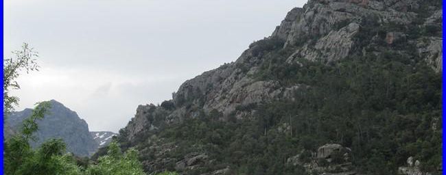 Balagne, la boucle des Finocchi en forêt de Bonifatu