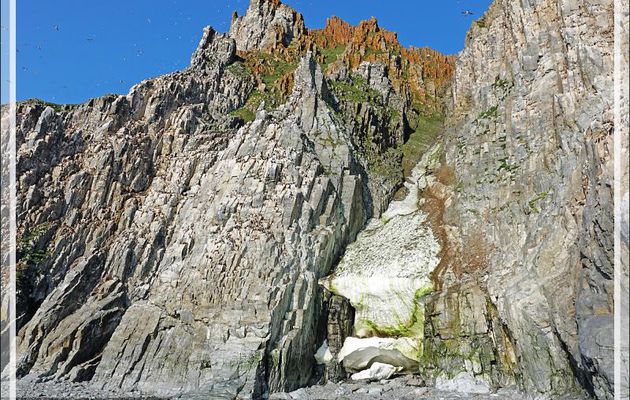Les falaises de Cambridge Point avec ses dizaines de milliers d'oiseaux, surtout des Guillemots de Brünnich - Coburg Island - Baffin Bay - Nunavut - Canada