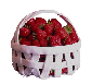 Tarte aux fraises, crème pâtissière...