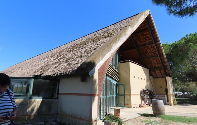 autour de Générac  - 2