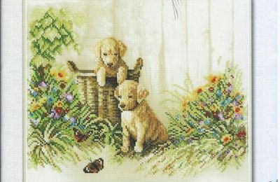 Innocent Puppies (6)