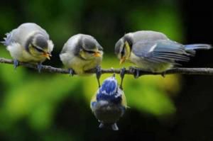 Exprimer un besoin ou se justifier