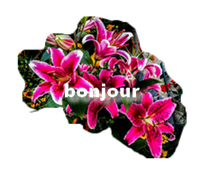 ♥bon Mercredi♥