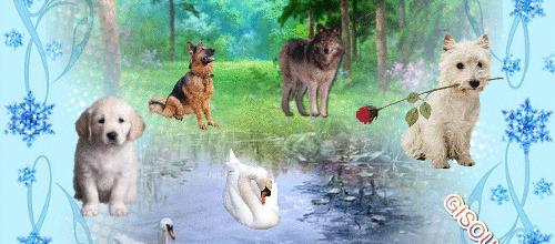 CREA ANIMAUX DANS LA NATURE