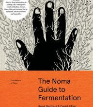Ebook kostenlos epub download The Noma Guide to Fermentation: Including koji, kombuchas, shoyus, misos, vinegars, garums, lacto-ferments, and black fruits and vegetables 9781579657185 English version 