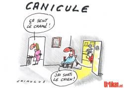 Canicule ?