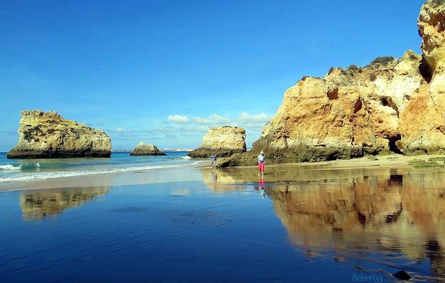 un loup à Alvor ... ! 