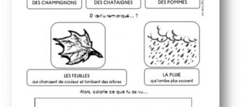 L'automne dans le cahier de vie