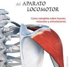 ANATOMÍA DEL APARATO LOCOMOTOR ePub gratis