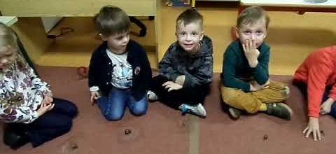 Observation et installation de son escargot