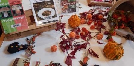 Automne, les vins, les champignons, Halloween...