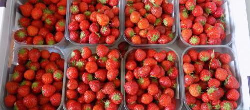 Confiture de fraises et sirop de fleurs de sureau