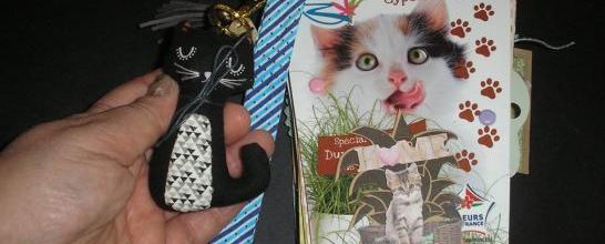 Détail de la couverture du mini-album recyclage chats : le bijou de sac chat