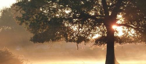 Automne...