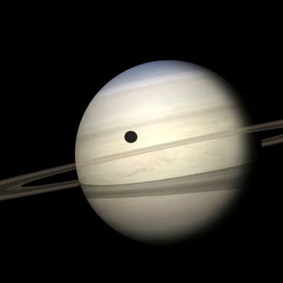 La tête dans les étoiles ....