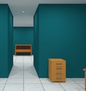 Hottategoya Games - Escape from the Similar Rooms 9