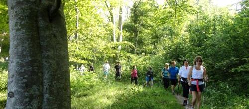 Photos de la sortie au Mont De Fiennes du dimanche 18 mai