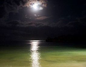 Attention fragile ... 